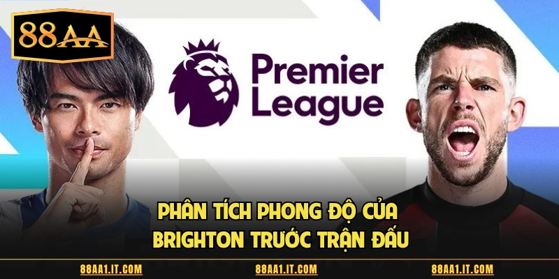 Phân tích phong độ của Brighton trước trận đấu